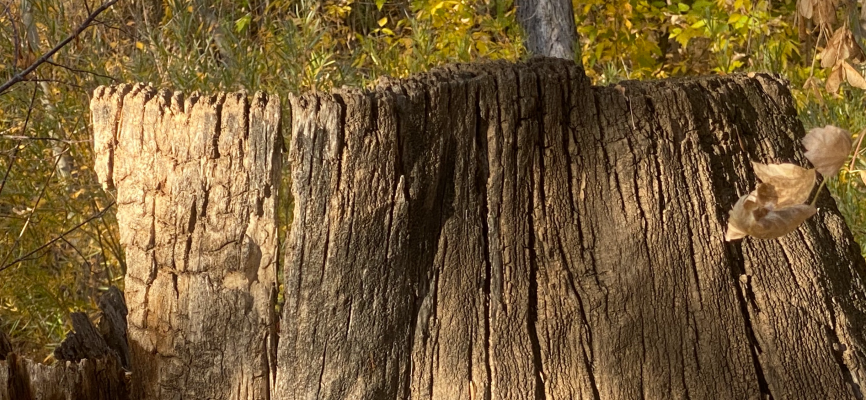river photo