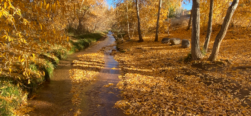 river photo