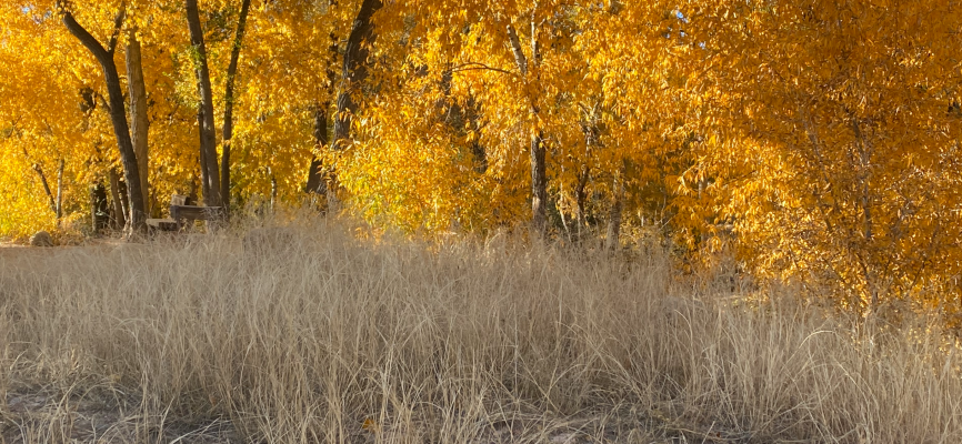river photo