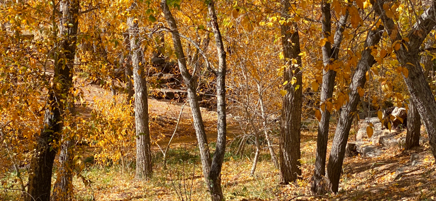 river photo